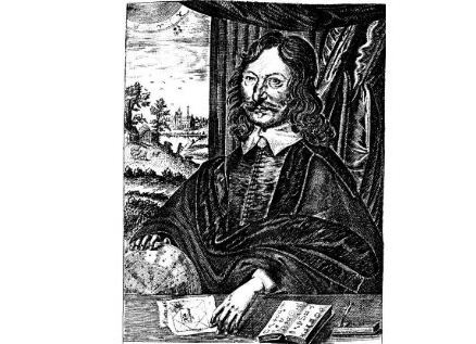 Всемогущая календула: справимся с геморроем и забудем о боли