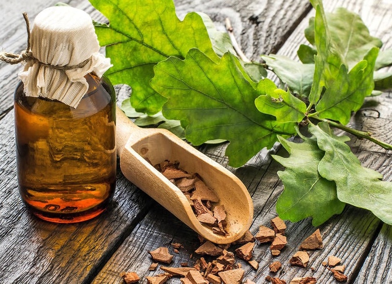 Дубовая кора от геморроя