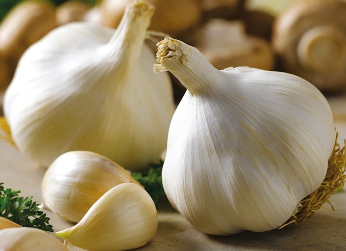 Лечение геморроя чесноком