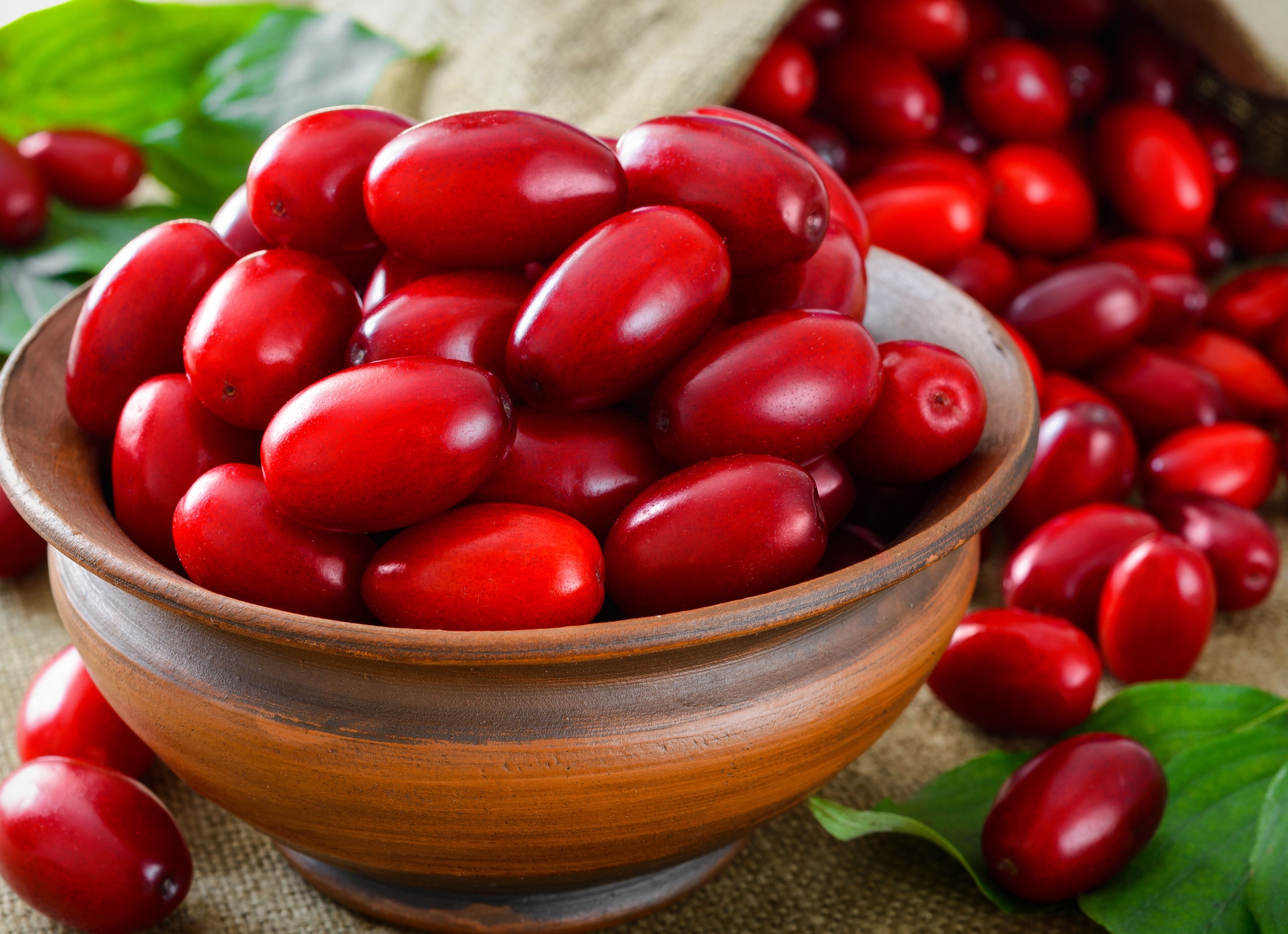 Кизил от геморроя