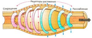 Ректальные свечи после операции геморроя thumbnail